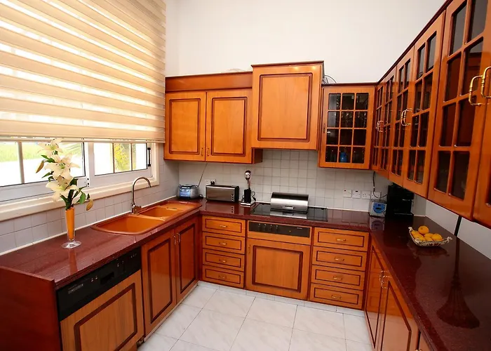 The White House * 라르나카