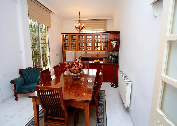 The White House 라르나카