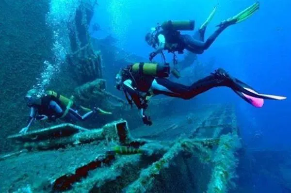 빌라 The White House