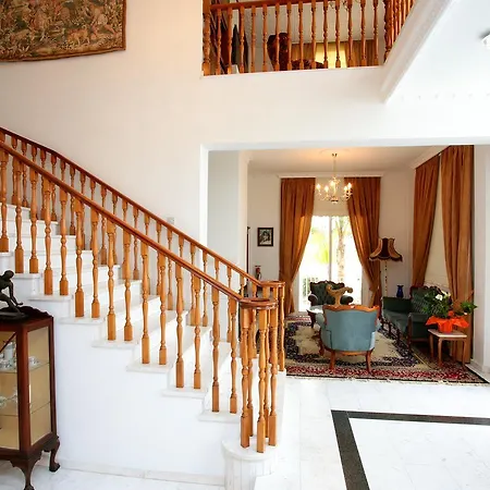 The White House * Larnaca