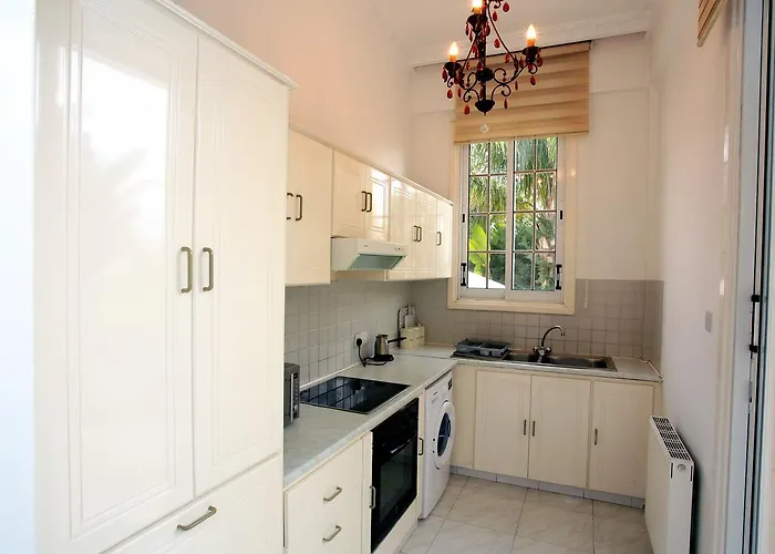 The White House * Lárnaca