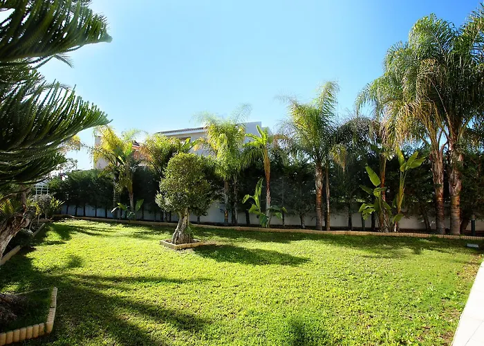 The White House * Larnaca